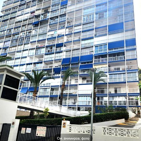בנידורם Apartment Alcalde Manuel Catalan Luxury מראה חיצוני תמונה